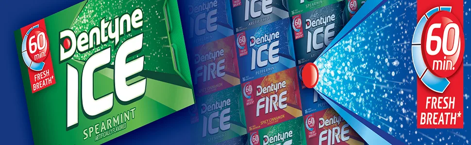 Dentyne Ice Arctic Chill Sugar Free Gum, 16 Count (Pack of 9) (144 Total Pieces) - Dentyne Sugar Free Gum