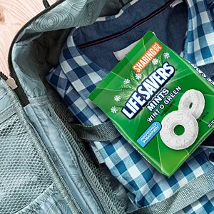 LIFE SAVERS Orange Mints Hard Candy Bag, 6.25 ounce (Pack of 12) Orange Mint 6.25 Ounce (Pack of 12) - Car Candy