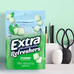 EXTRA Refreshers Spearmint Chewing Gum, 40 Pieces (Pack of 4) Spearmint 40 Count (Pack of 4) - Feel refreshed extra refreshers