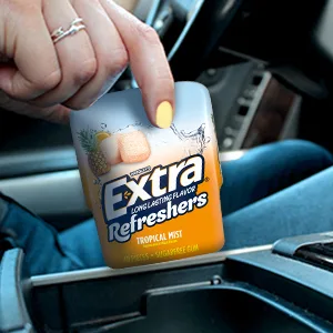 EXTRA Refreshers Spearmint Chewing Gum, 40 Pieces (Pack of 4) Spearmint 40 Count (Pack of 4) - On The Road