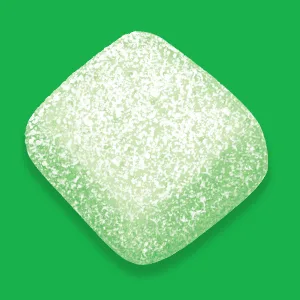 EXTRA Refreshers Spearmint Chewing Gum, 40 Pieces (Pack of 4) Spearmint 40 Count (Pack of 4) - Spearmint
