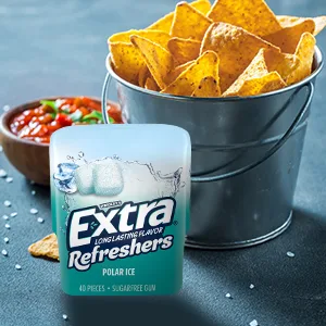 EXTRA Refreshers Spearmint Chewing Gum, 40 Pieces (Pack of 4) Spearmint 40 Count (Pack of 4) - with a friend