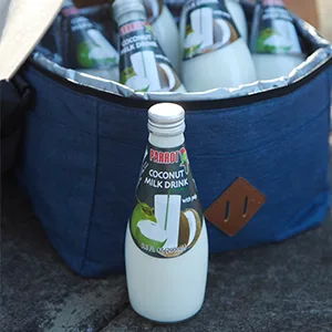 Parrot Coconut Milk Drink Original with Pulp 290ml(Pack Of 12) - Parrot coconut milk