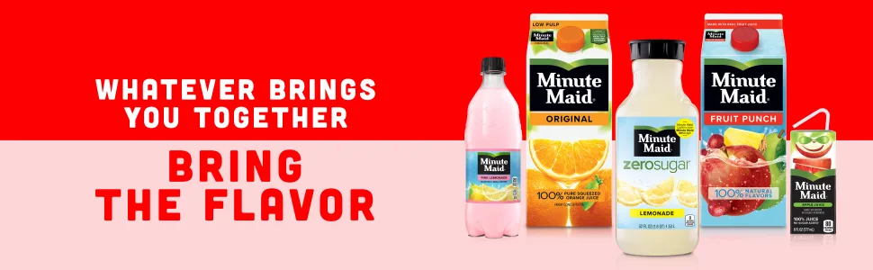 Minute Maid Light Lemonade Fruit Drink, 12 Fl Oz (pack of 12) - image