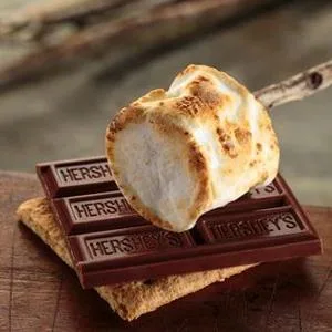 HERSHEY'S Milk Chocolate Bulk Candy, Individually Wrapped, 4.4 ounce , (Pack of 12) - product information 12