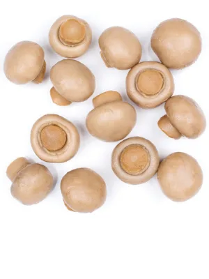 Roland Foods Whole Medium and Large Button Mushrooms, Specialty Imported Food, 16 Ounce (4 Pack) - ;whole button mushroom;button mushroom large;white whole mushroom;champignon mushroom;steak mushroom