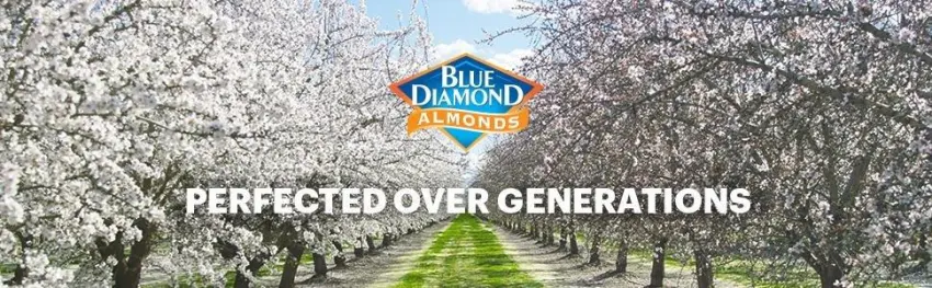 Blue Diamond Almonds, Roasted Salted, 1.5 Ounce (Pack of 12) - product information 1