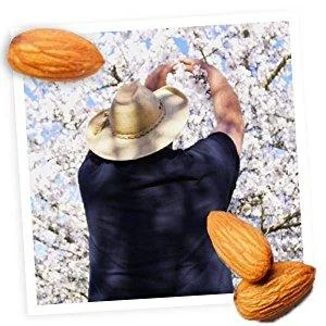 Blue Diamond Almonds, Roasted Salted, 1.5 Ounce (Pack of 12) - product information 2