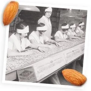 Blue Diamond Almonds, Roasted Salted, 1.5 Ounce (Pack of 12) - product information 3