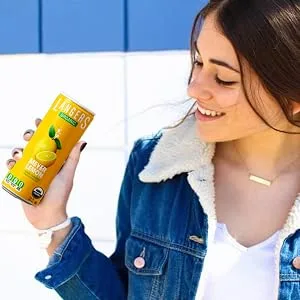 Langers Organic Flavored Sparkling Water, Ginger, 12 Ounce (Pack of 8) Ginger 12 Ounce (Pack of 8) - lemon sparkling water zero