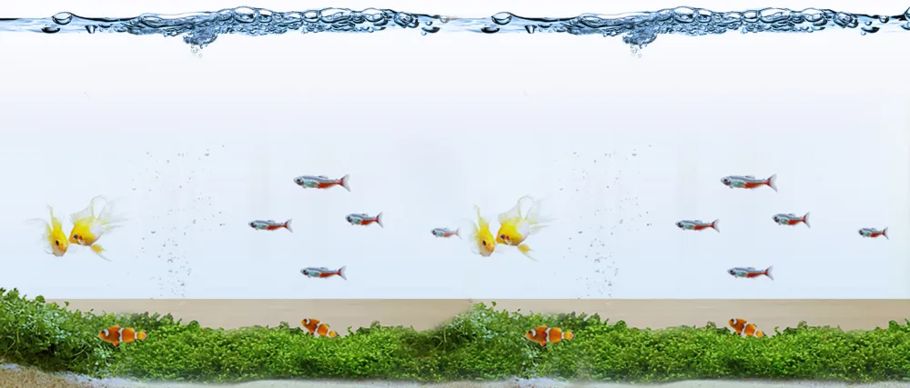 WEAVERBIRD 4PCS Aquarium Nematode Feeder Live Blood Worm Plastic Cone Cup Shape Basket Feeder for Feeding Fish with Suckers - LED Aquarium Light