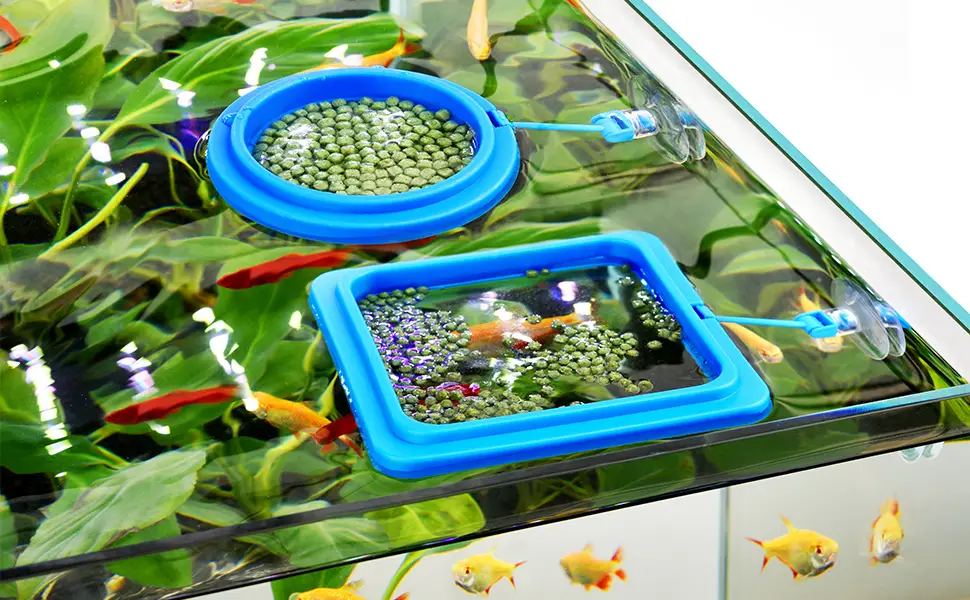 WEAVERBIRD 2PCS Fish Feeding Ring Fish Safe Floating Food Feeder Circle Blue with Suction Cup Easy to Install Aquarium Square and Round Shape for Guppy Betta Goldfish - 2PCS Fish Feeding Rings