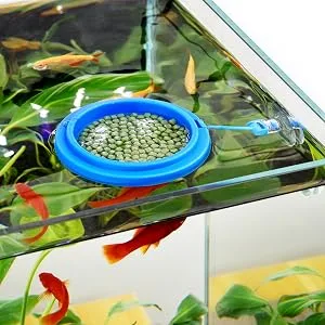 WEAVERBIRD 2PCS Fish Feeding Ring Fish Safe Floating Food Feeder Circle Blue with Suction Cup Easy to Install Aquarium Square and Round Shape for Guppy Betta Goldfish - 2PCS Fish Feeding Rings