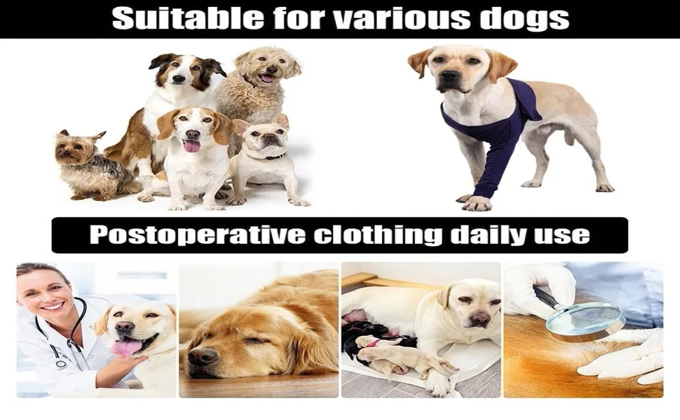 Dog Elbow Brace Protector Pads Dog Elbow Protector Highly Elastic Breathable Lick Proof Canine Elbow Protector for Postoperative Recovery (M) - B0BGQLF7RT