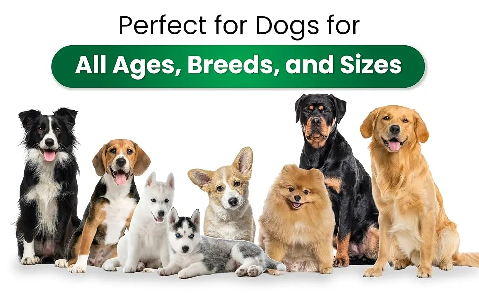 Dog Probiotics Chews with Digestive Enzymes - Premium Pet Fiber Supplement - Proudly Made in The USA - product information 3