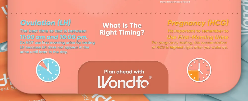 Wondfo 40 Ovulation Test and 10 Pregnancy Test Strips with 50 Cups Kit Rapid Test Detection for Home Self-Checking Urine Test 40 LH + 10 HCG New Batch - product information 14