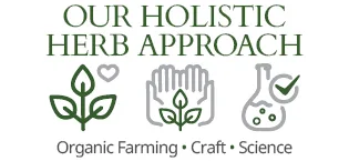 St. Francis Herb Farm Virafect - Immunity Booster Herbal Supplement - Immune System Booster - Holy Basil - Echinacea - Andrographis Paniculata - Cold and Flu 50mL - Holistic Herb Approach