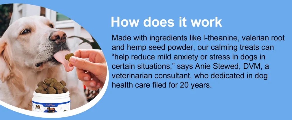Dog Calming Chews 150 Count Anxiety Relief for Dogs Calming Treats for Dogs Chicken Flavour Chicken 150 Count - calming chews