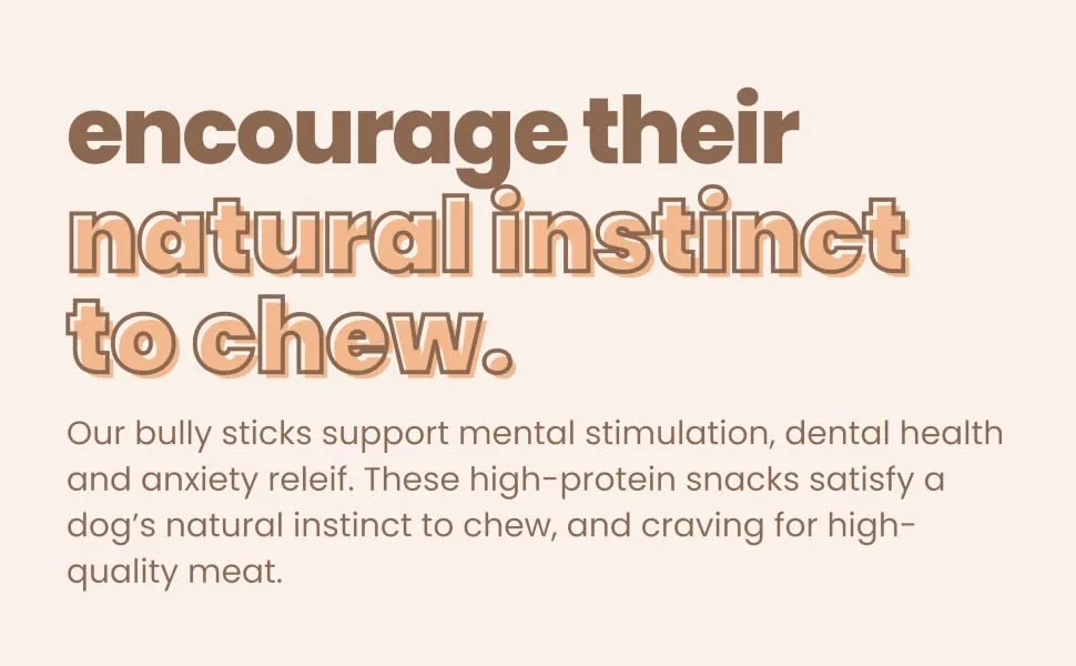 Purely Paws Premium All-Natural Beef Bully Sticks - Safe Digestible Dog Chews - Long-Lasting Low-Odour Rawhide Free (6" 5 Count) 6" (Pack of 5) - encourage your dog