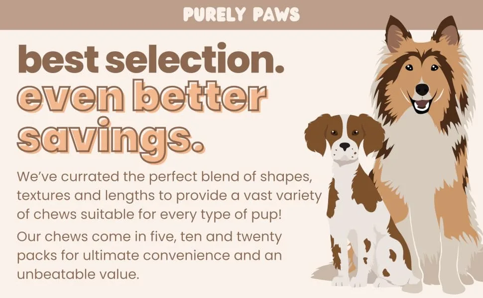 Purely Paws Premium All-Natural Beef Bully Sticks - Safe Digestible Dog Chews - Long-Lasting Low-Odour Rawhide Free (6" 5 Count) 6" (Pack of 5) - Purely paws best selection and value for bully sticks in Canada.