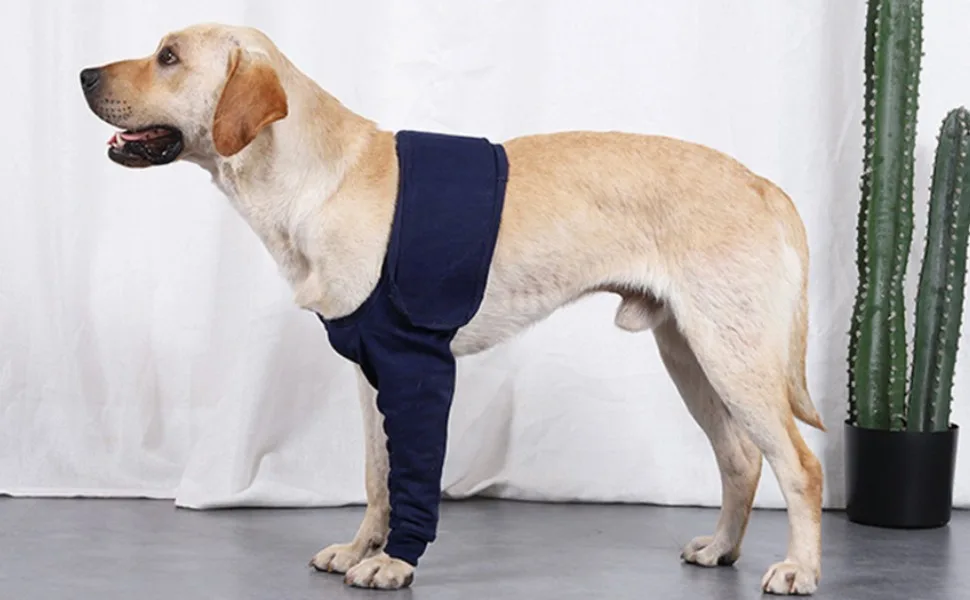 Dog Elbow Brace Protector Pads Dog Elbow Protector Highly Elastic Breathable Lick Proof Canine Elbow Protector for Postoperative Recovery (XL) - product information 19