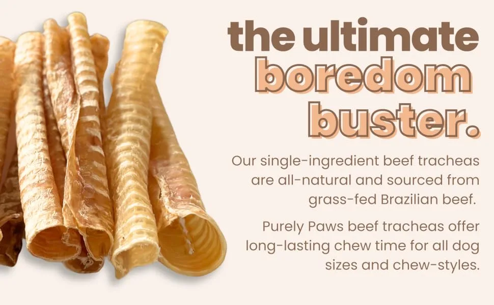 Purely Paws All-Natural Beef Trachea - Safe Digestible Dog Chews - Single Ingredient Trachea Chew - Rawhide Free - (6 Inch - 10 Pack) 6" (10 Pack) - Support your dog