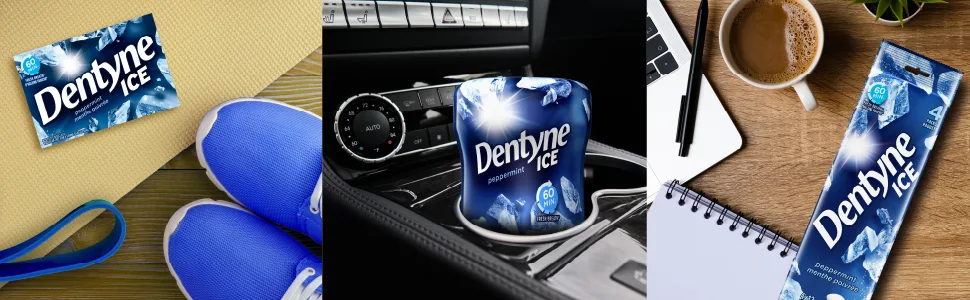 Dentyne Ice Sugar-Free Gum Arctic Bubble 4pk Arctic Bubble 12 Count (Pack of 4) - Dentyne
