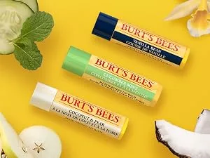 Burt's Bees 100% Natural Origin Moisturizing Lip Balm Dragonfruit Lemon with Beeswax & Fruit Extracts Blister - lip balm, fruit scented, beeswax, natural