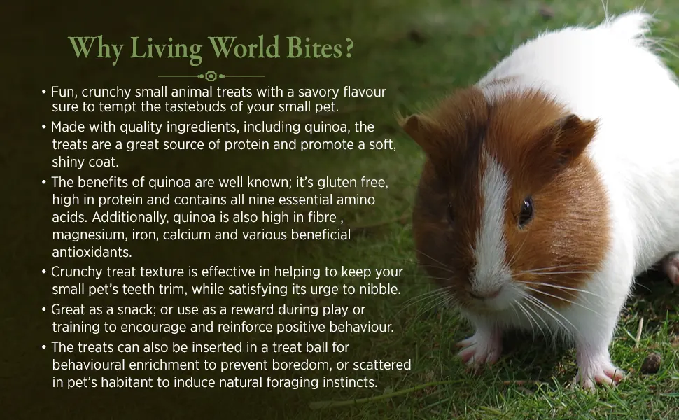 Living World Small Animal Bites with Quinoa (60gm) + Small Animal Drops - Multi-Mix Flavour (75g) - product information 2