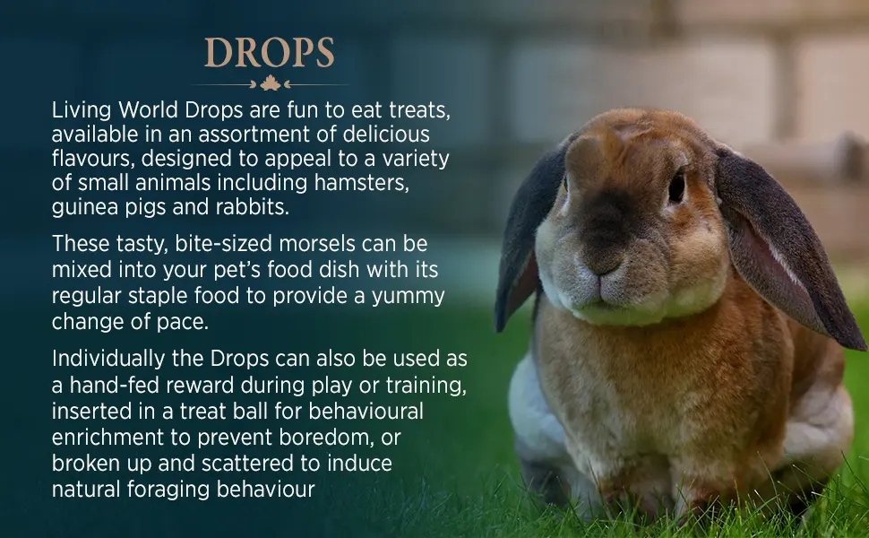 Living World Small Animal Bites with Quinoa (60gm) + Small Animal Drops - Multi-Mix Flavour (75g) - product information 3