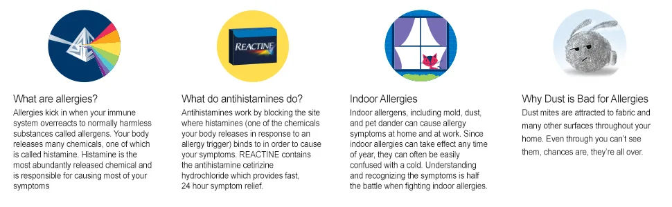 Reactine Regular Strength Antihistamine Tablets - 5mg Cetirizine Hydrochloride - 24 Hour Allergy Relief Medicine - 36 Count 36 Count (Pack of 1) - Reactine
