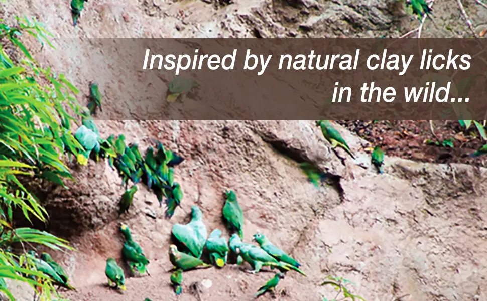 Hari Prime Vitamin Supplement for Birds | Clay-Cal Bentonite Clay Supplement Bundle - product information 3