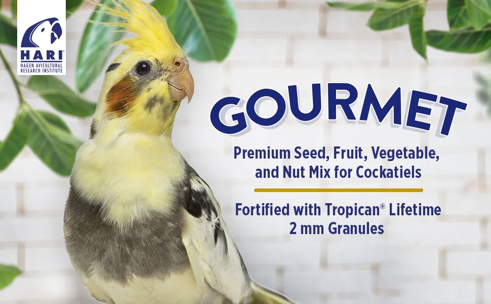 Hagen Gourmet Seed Mix for Cockatiels Small Hookbills and Budgies | 1.3 Kg + 1 Kg - product information 1