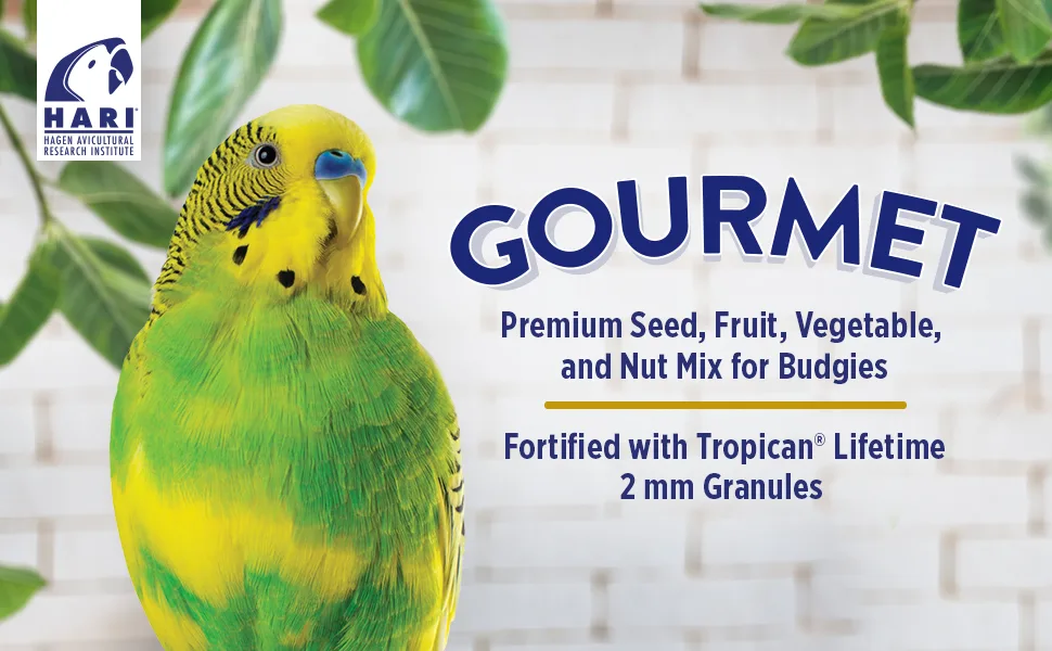 Hagen Gourmet Seed Mix for Cockatiels Small Hookbills and Budgies | 1.3 Kg + 1 Kg - product information 6