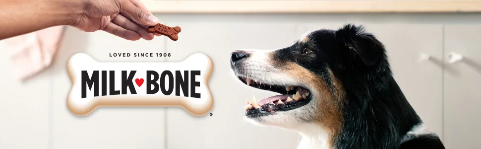 Milk-Bone Flavour Snacks Dog Biscuits Medium Sized Dog Treats Assorted Flavours 2kg Box Medium dog 2Kg - Milkbone Brand Logo