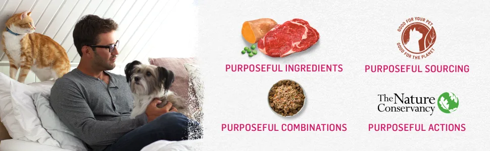 Beyond Grain Free Natural Wet Cat Food Variety Pack (Turkey + Sweet Potato & Spinach | Tuna Mackerel & Carrot) - product information 3