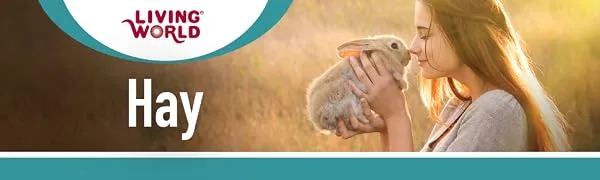 Living World Timothy Hay and Extrusion Rabbit Food (3rd Gen) Bundle Timothy Hay + Rabbit Food - product information 1