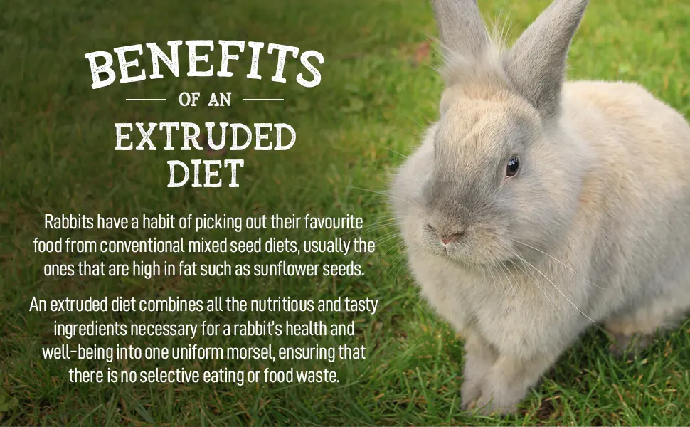 Living World Timothy Hay and Extrusion Rabbit Food (3rd Gen) Bundle Timothy Hay + Rabbit Food - product information 3