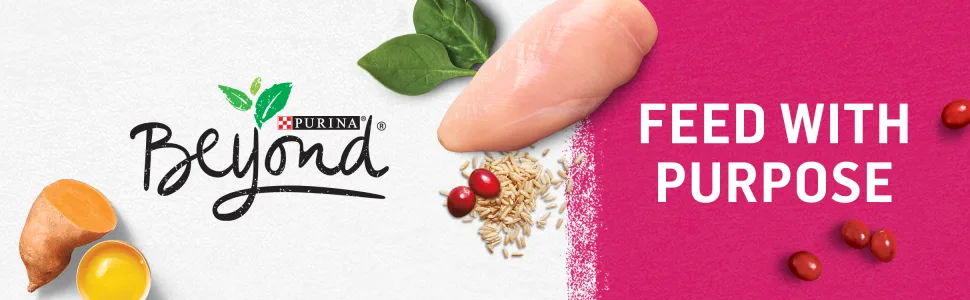 Purina Beyond Grain Free Wet & Dry Cat Food Bundle | Wild Salmon & White Meat Chicken - product information 1