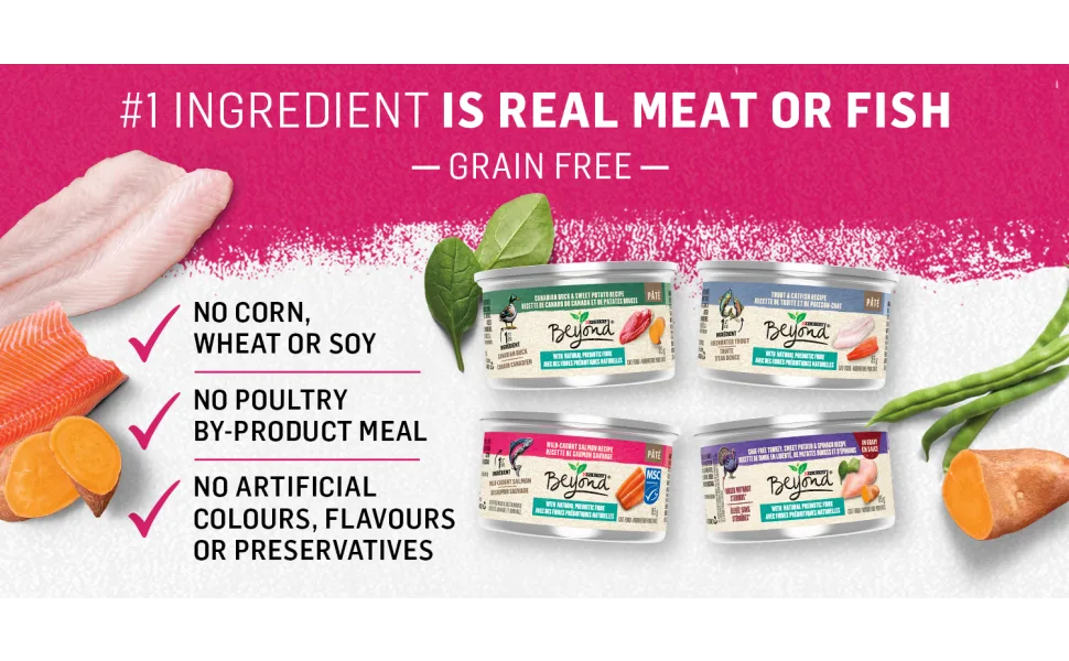 Purina Beyond Grain Free Wet & Dry Cat Food Bundle | Wild Salmon & White Meat Chicken - product information 2