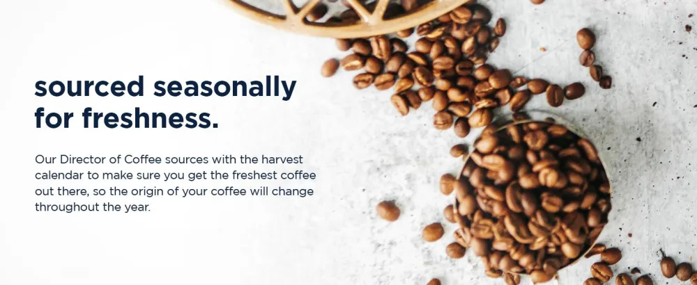 Ethical Bean Coffee Classic Medium Roast Fairtrade Organic Coffee 227g (Pack of 6) 6 count (Pack of 1) Classic Medium Roast - Ethical bean coffee, coffee, coffee beans, organic coffee, fairtrade coffee, arabica beans, fresh