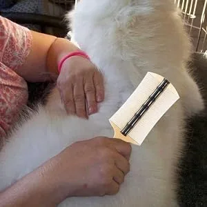 Pet Comb for Cats Multipurpose Kitten Flea Comb Dog Grooming Comb Hangable Cat Grooming Comb Pet Grooming Comb for Home Pet Shops Green - Robust Comfort