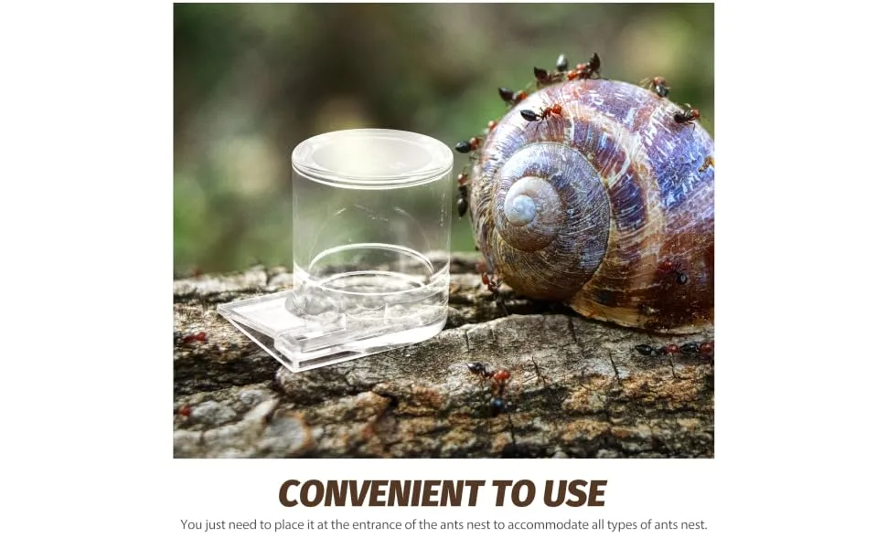 SEWOART Pet Water Feeder Ant Feeder Ant Watering Station Ant Water Feeder Ant Waterer Plastic Transparent - product information 7