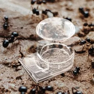 HAPINARY Pet Water Feeder Ant Waterer for Garden Ant Watering Station Ant Nest Supplies Transparent Plastic - product information 3