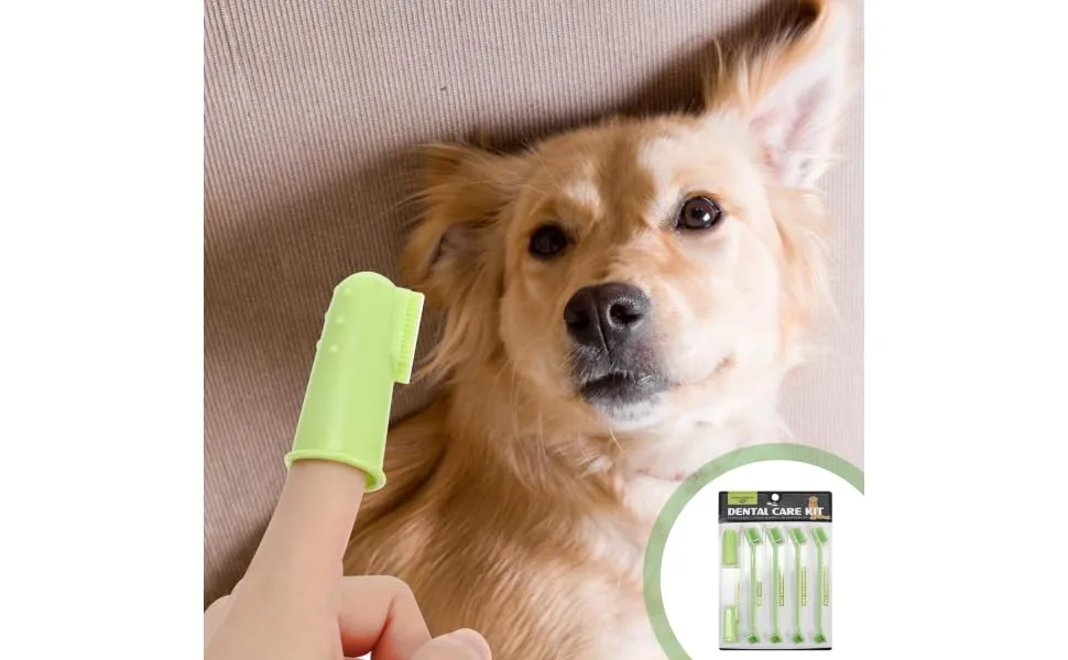 ORFOFE 1 Set Pet Toothbrush Kitten Toothbrushes Dog Toothbrush for Small Dogs Dog Toothpaste Pets Pp Green - product information 1