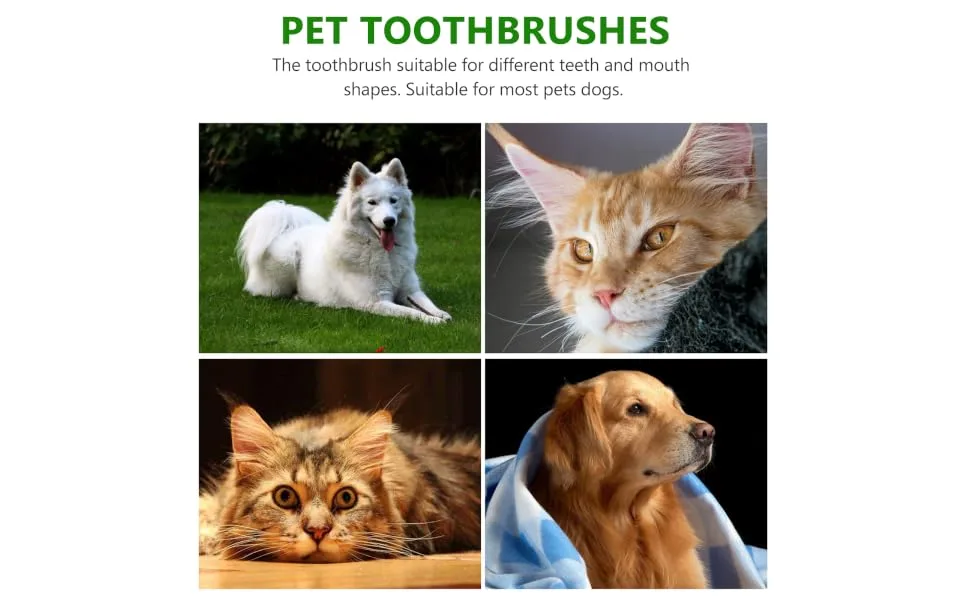 ORFOFE 1 Set Pet Toothbrush Kitten Toothbrushes Dog Toothbrush for Small Dogs Dog Toothpaste Pets Pp Green - product information 4