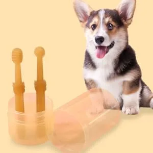 BUGUUYO 1 Set Pet Toothbrush Set Travel Toothpaste Dog Toothbrushes Single-head Toothbrush The Dog Pet Brush - product information 1