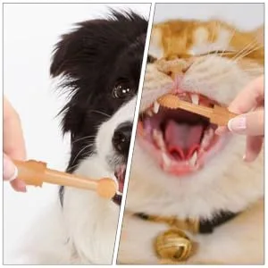 BUGUUYO 1 Set Pet Toothbrush Set Travel Toothpaste Dog Toothbrushes Single-head Toothbrush The Dog Pet Brush - product information 7