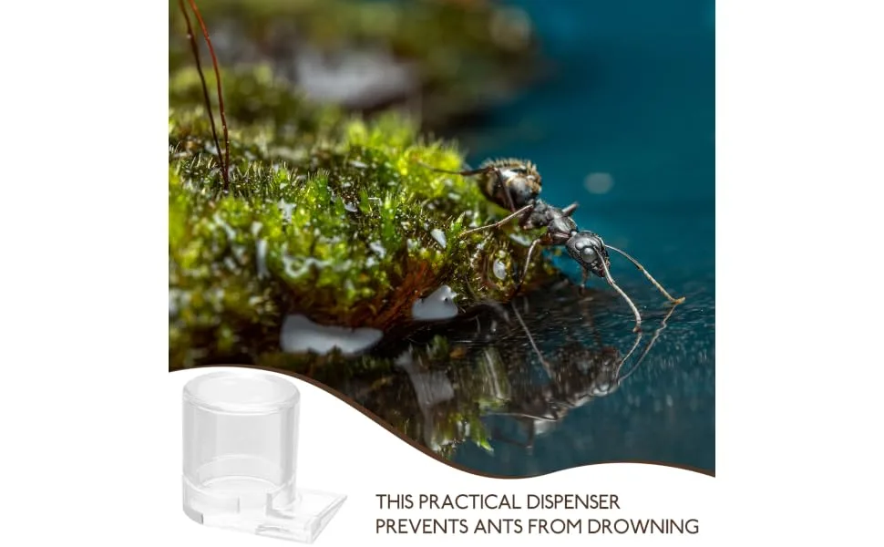 ORFOFE Pet Water Feeder Ant Waterer Ant Feeder Station Ant Bottle Feeder Ant Water Drinking Cup Plastic - product information 6