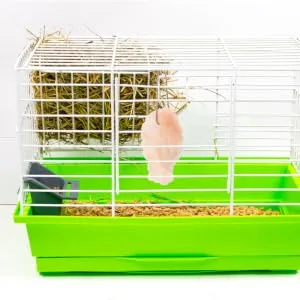 SEWOART Pet Saline Rabbit Small Licking Salt Nutrition Hamster Salt Bunny Deer Mineral Saline - product information 3